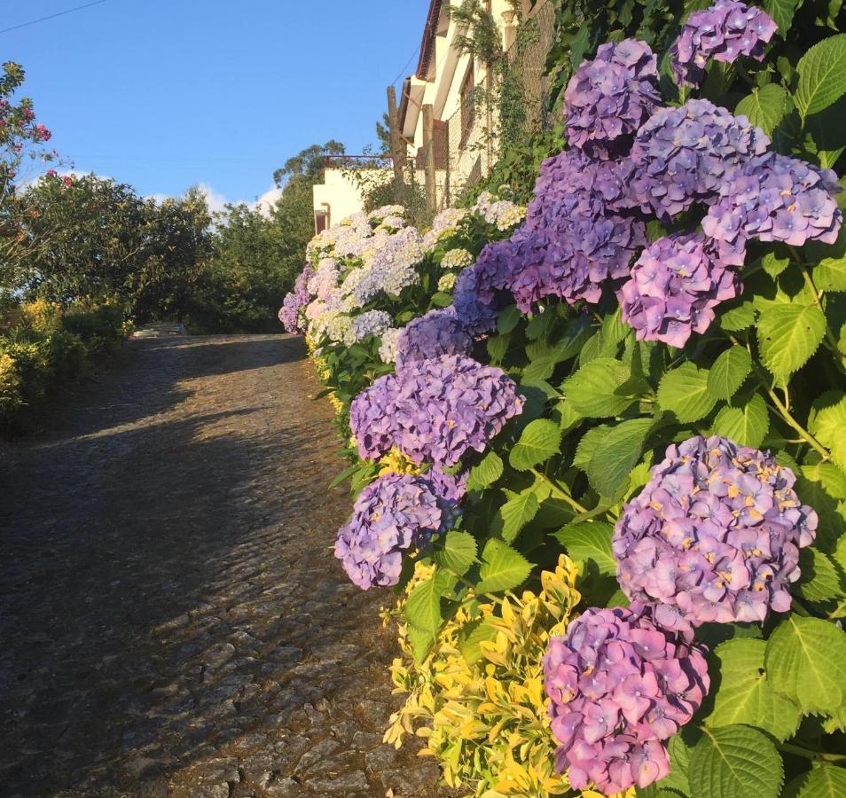 Villa Bouro - Breathtaking Scenery Near Geres Terras de Bouro Luaran gambar